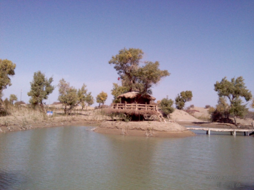 IMG_20121007_142500.jpg