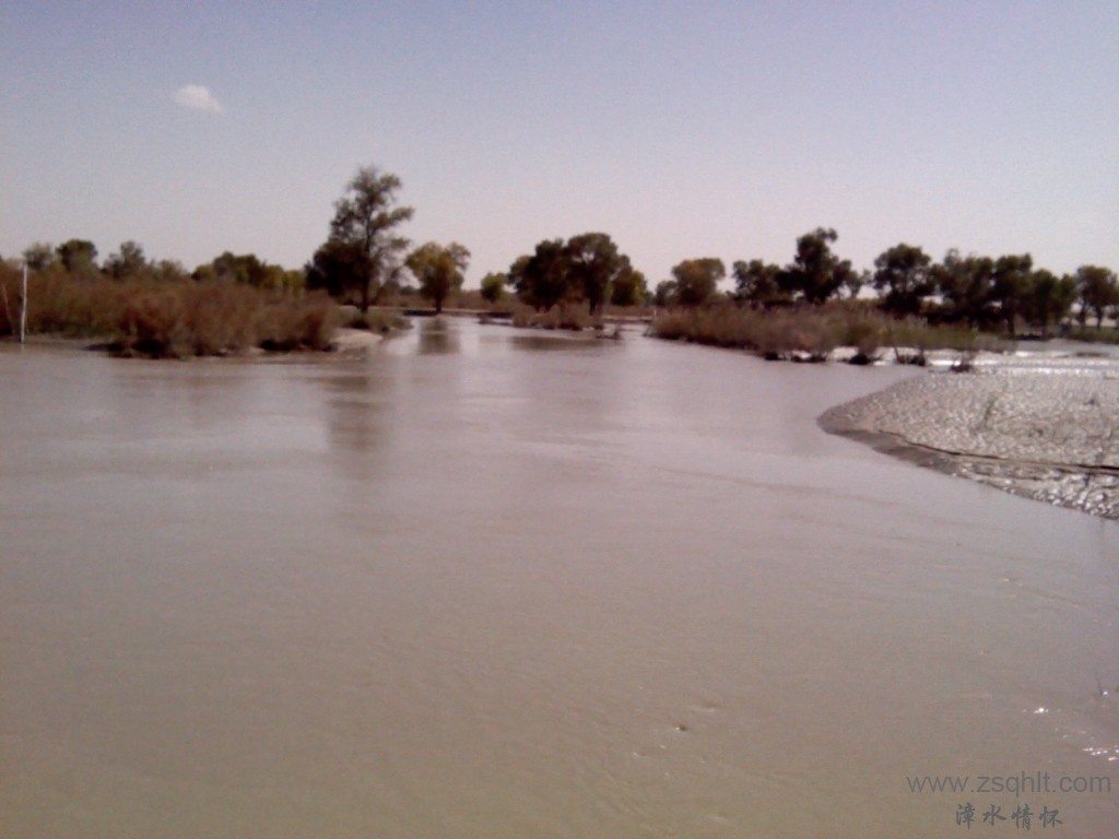 IMG_20121007_143416.jpg