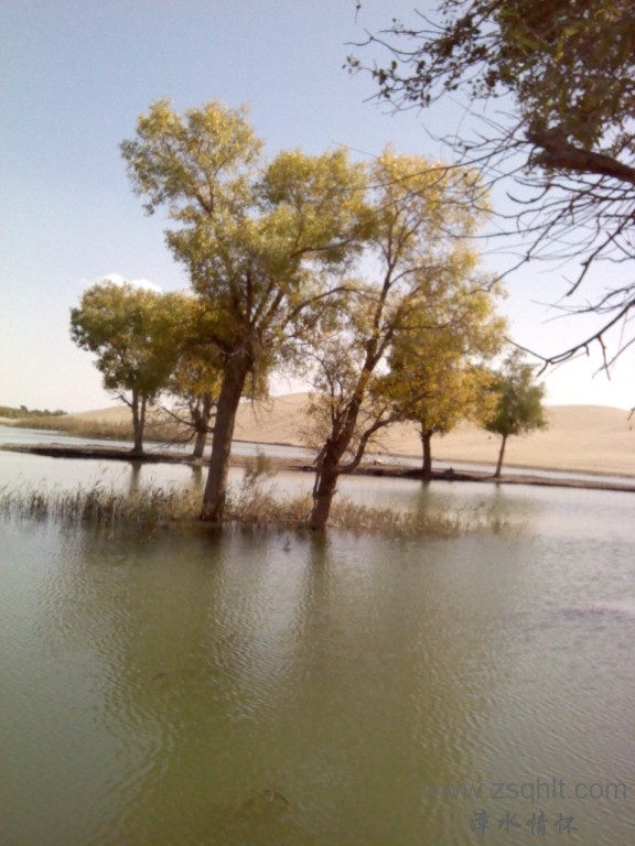 IMG_20121007_145010.jpg
