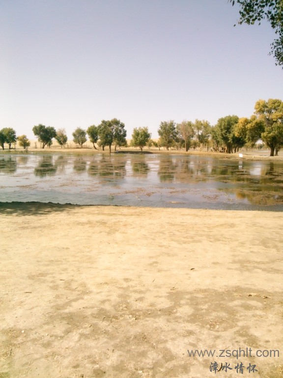 IMG_20121007_145414.jpg