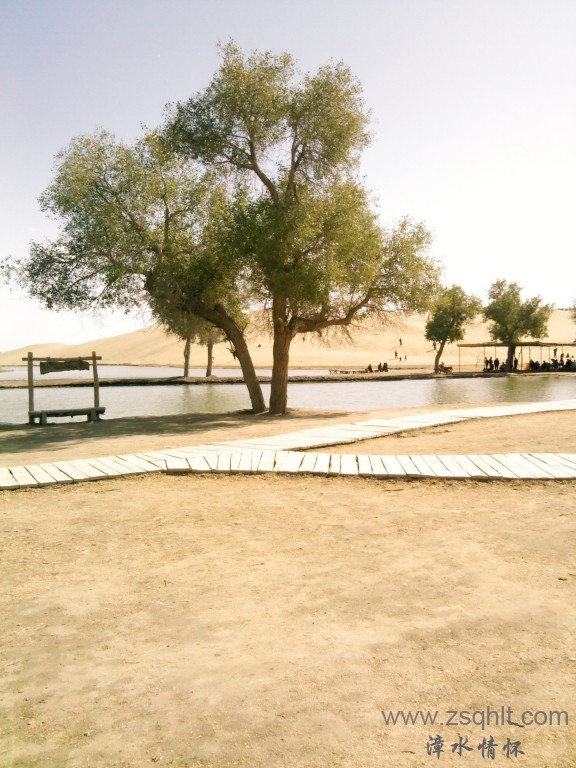 IMG_20121007_145514.jpg