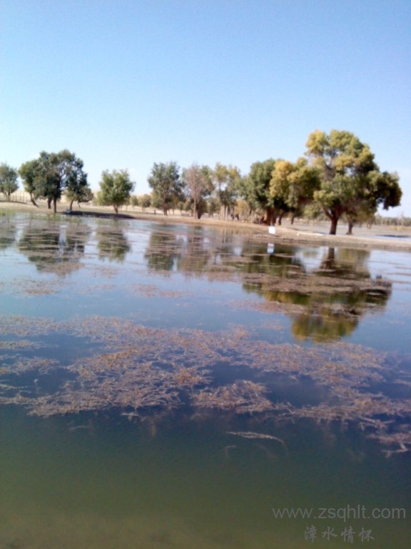 IMG_20121007_145543.jpg