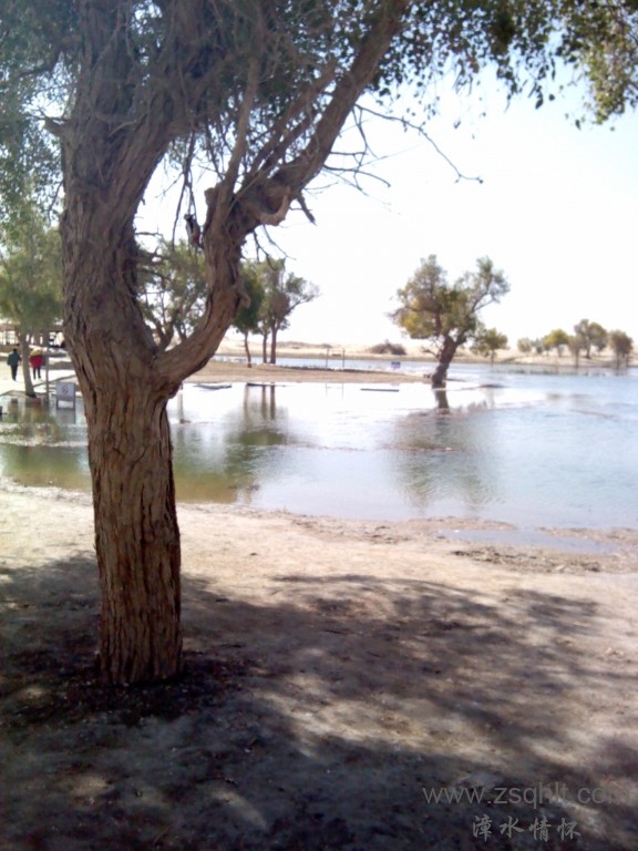 IMG_20121007_145939.jpg