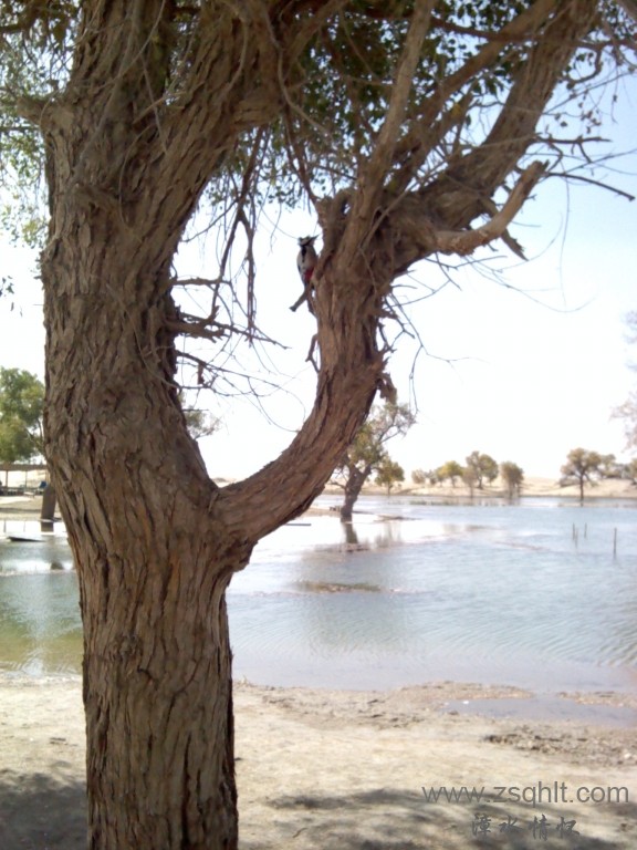 IMG_20121007_145951.jpg