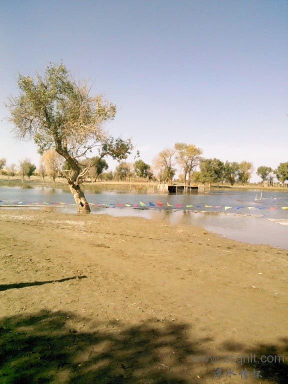 IMG_20121007_150252.jpg