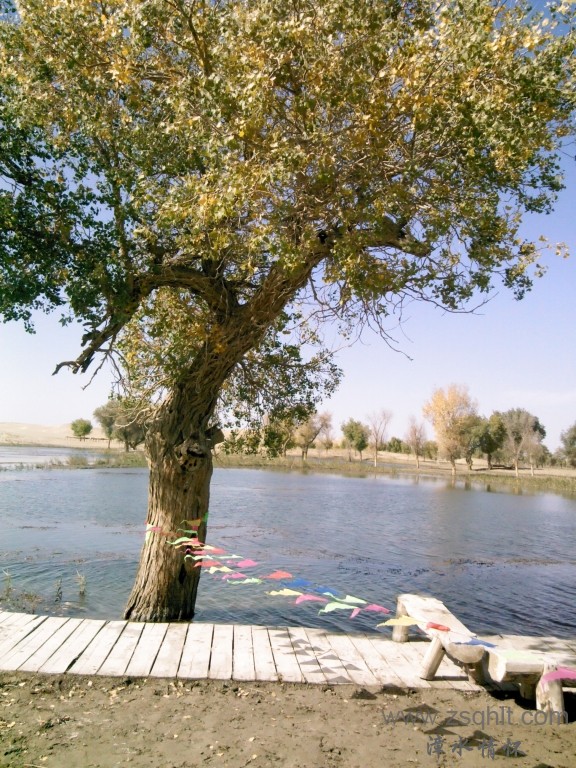 IMG_20121007_150329.jpg