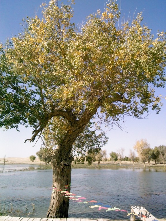 IMG_20121007_150335.jpg