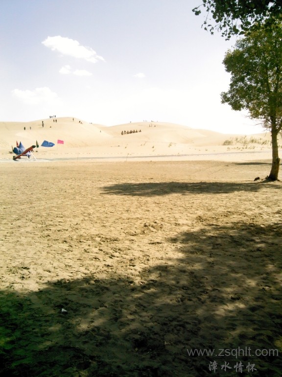 IMG_20121007_150444.jpg
