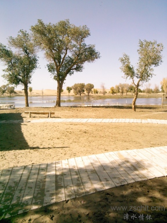 IMG_20121007_150510.jpg