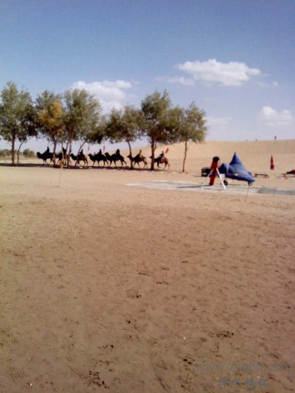 IMG_20121007_150652.jpg