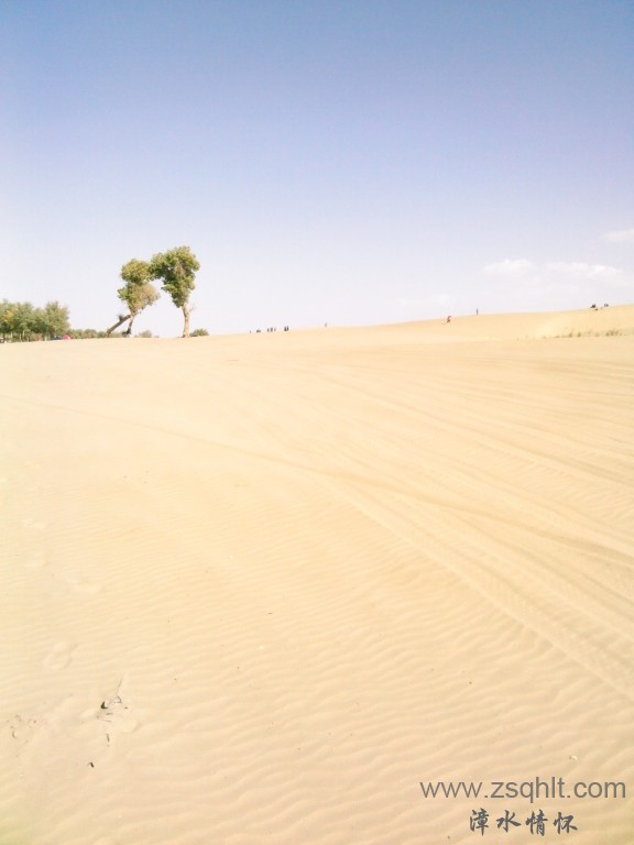 IMG_20121007_151231.jpg