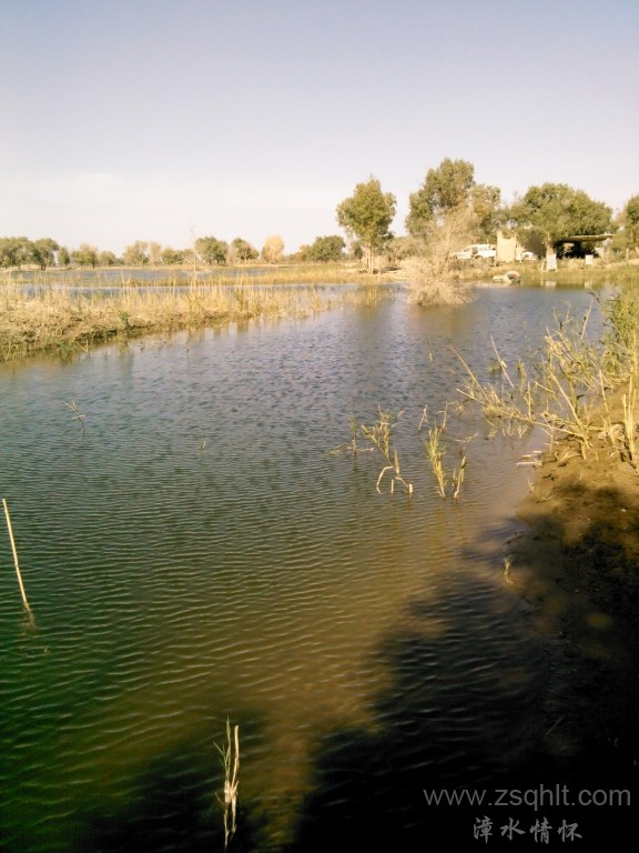 IMG_20121007_151321.jpg