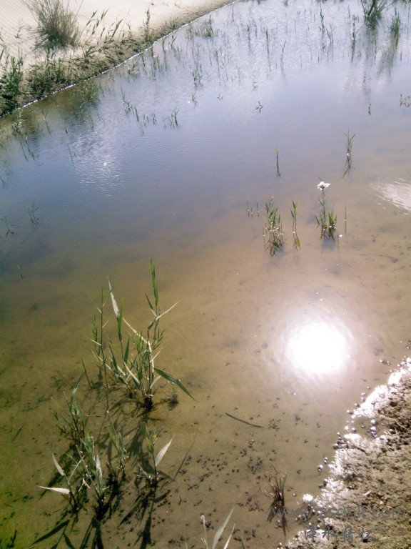 IMG_20121007_151407.jpg