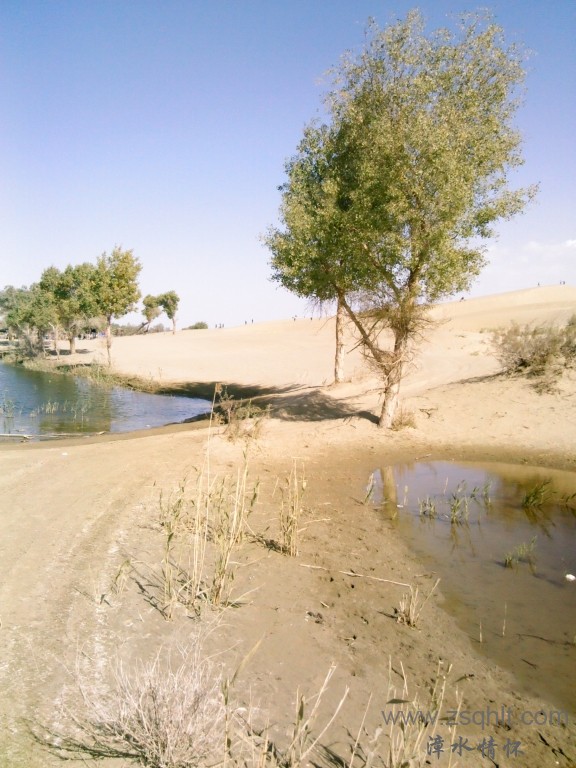 IMG_20121007_151433.jpg