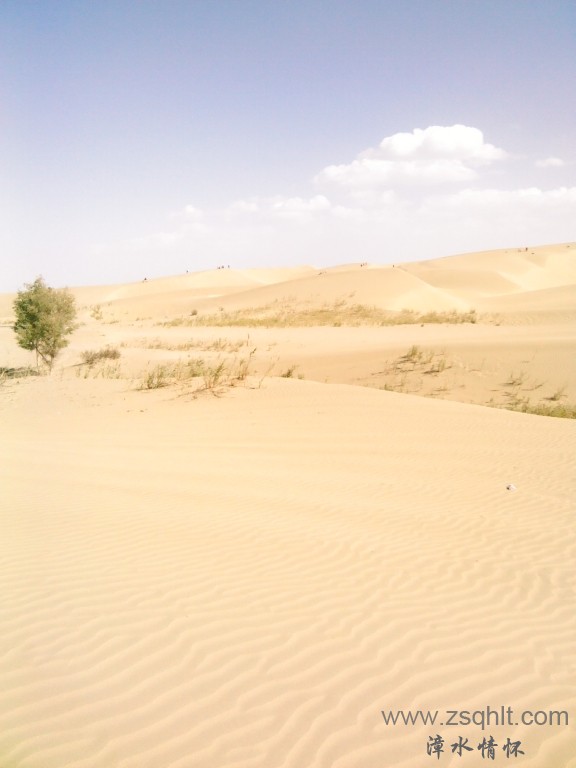 IMG_20121007_151649.jpg
