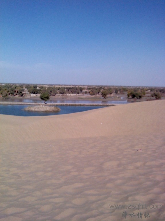 IMG_20121007_152821.jpg