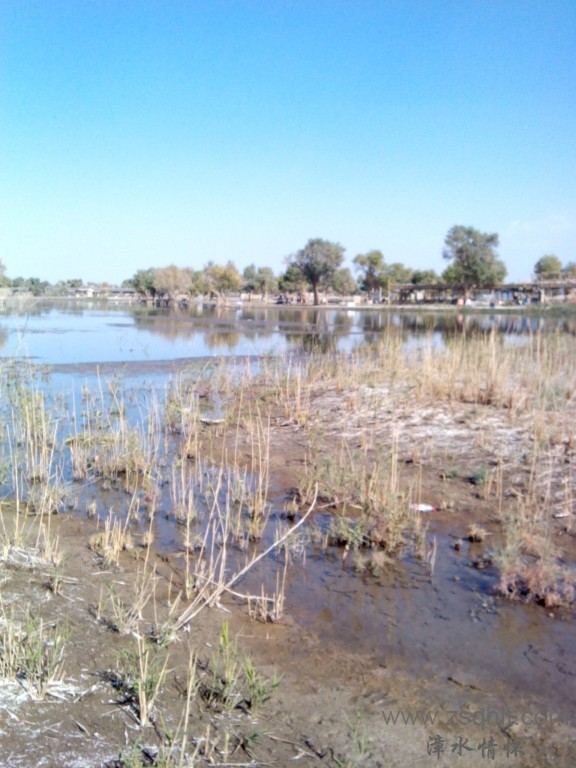 IMG_20121007_154117.jpg