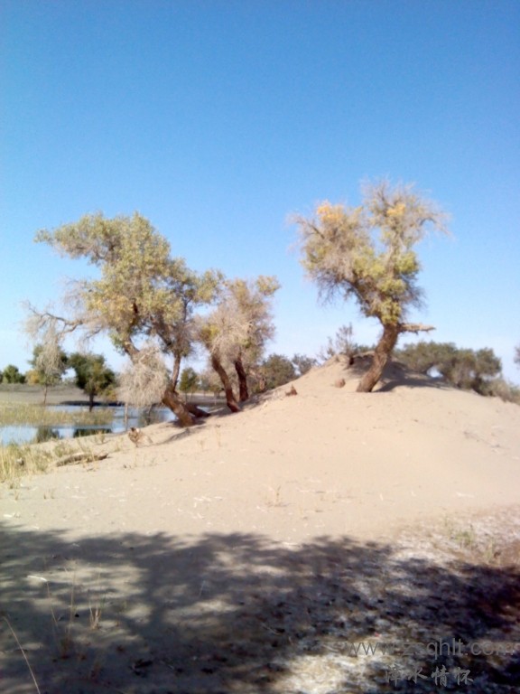 IMG_20121007_154227.jpg