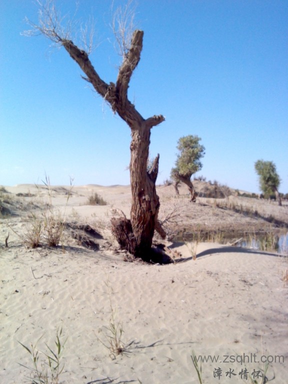 IMG_20121007_154238.jpg