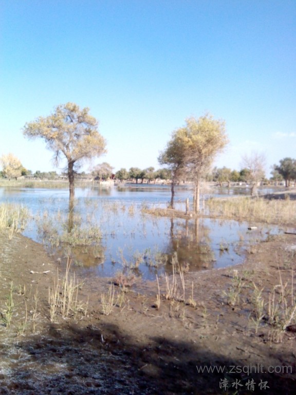IMG_20121007_154354.jpg