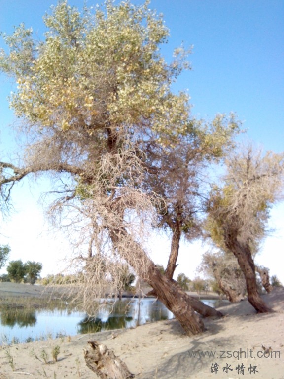 IMG_20121007_154417.jpg