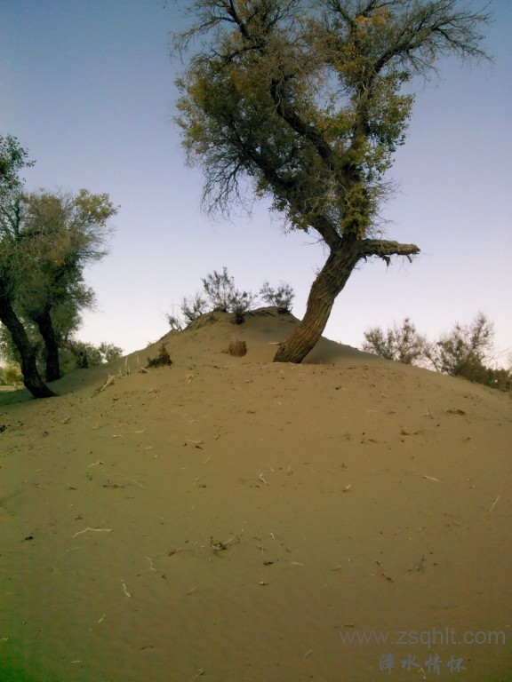 IMG_20121007_154441.jpg