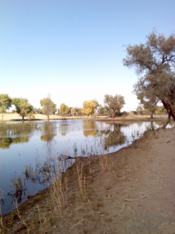 IMG_20121007_154456.jpg