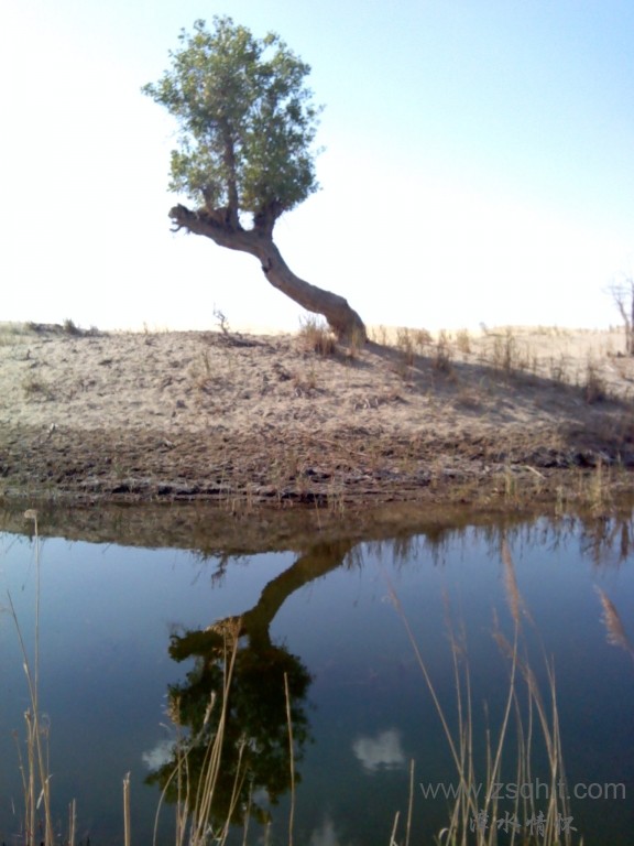 IMG_20121007_154506.jpg