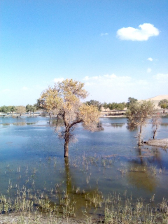 IMG_20121007_154827.jpg