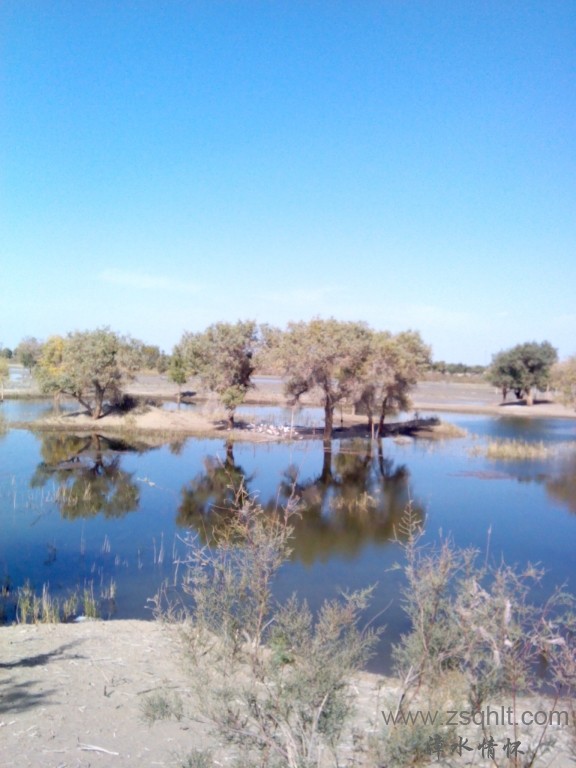 IMG_20121007_154839.jpg