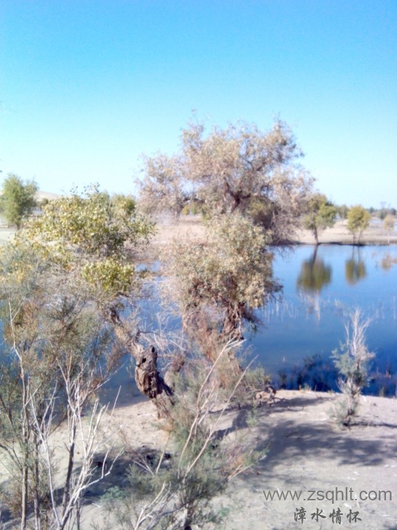 IMG_20121007_154936.jpg