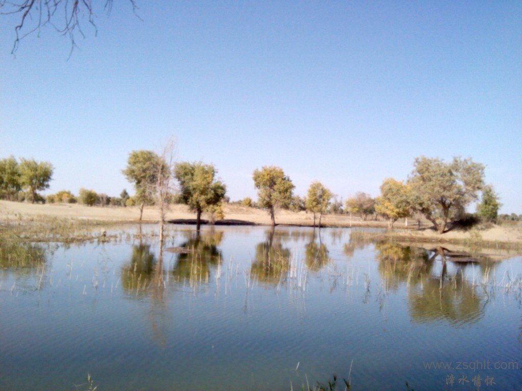 IMG_20121007_155208.jpg