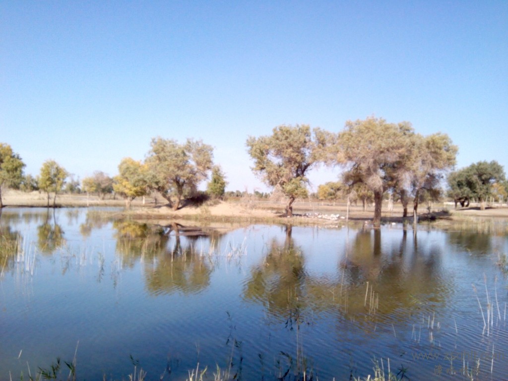 IMG_20121007_155213.jpg