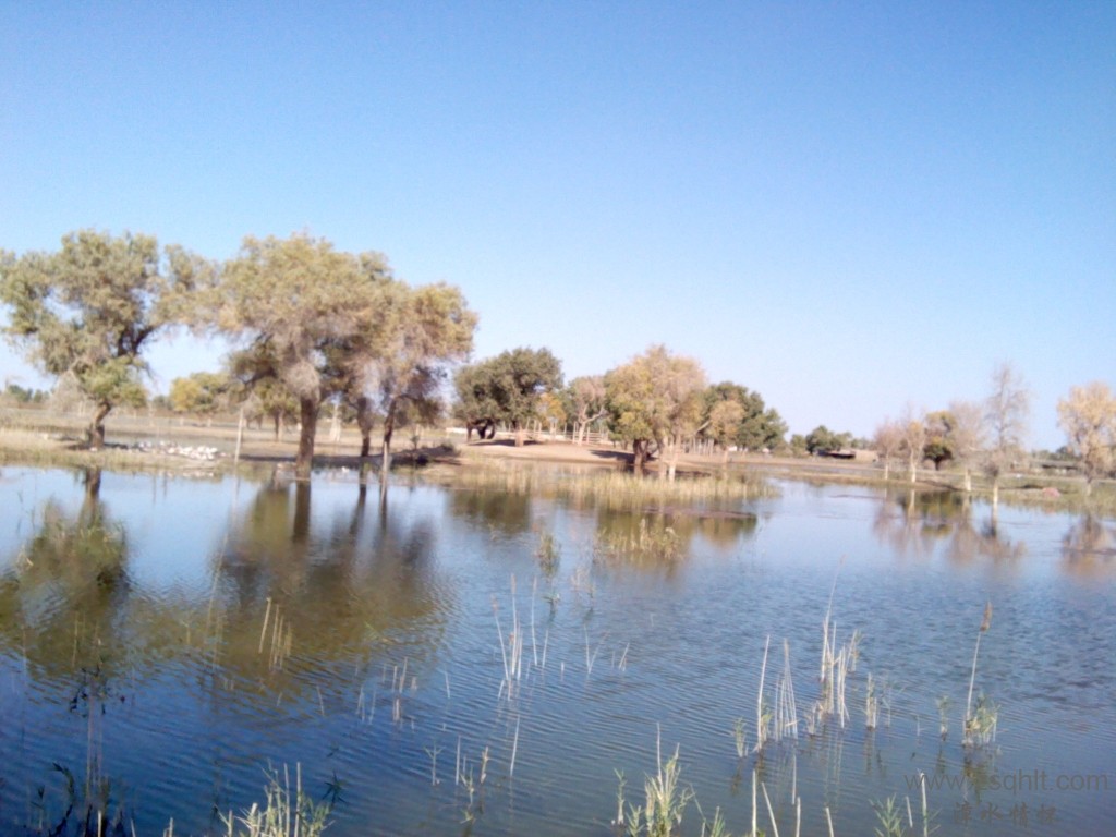 IMG_20121007_155219.jpg