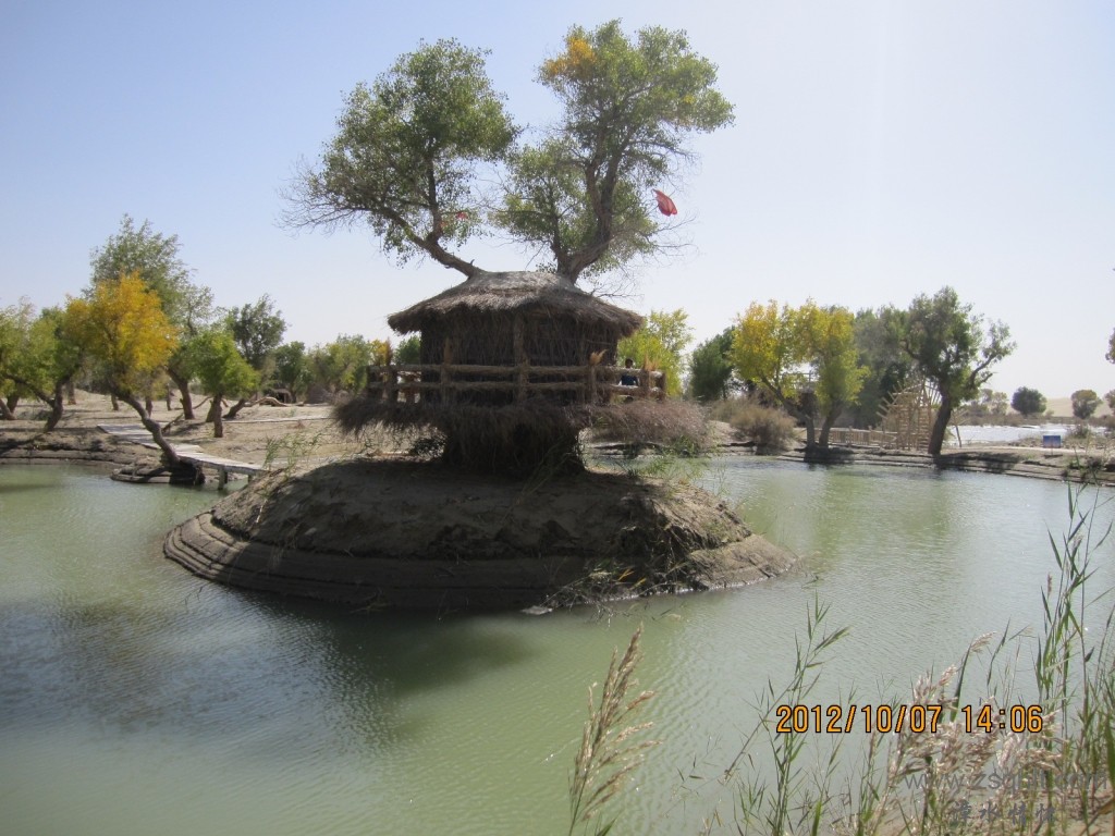 IMG_1784.JPG