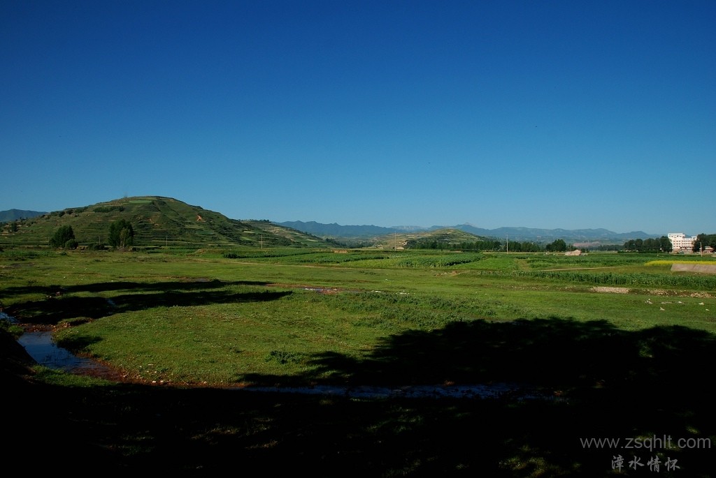 DSC_5810.jpg