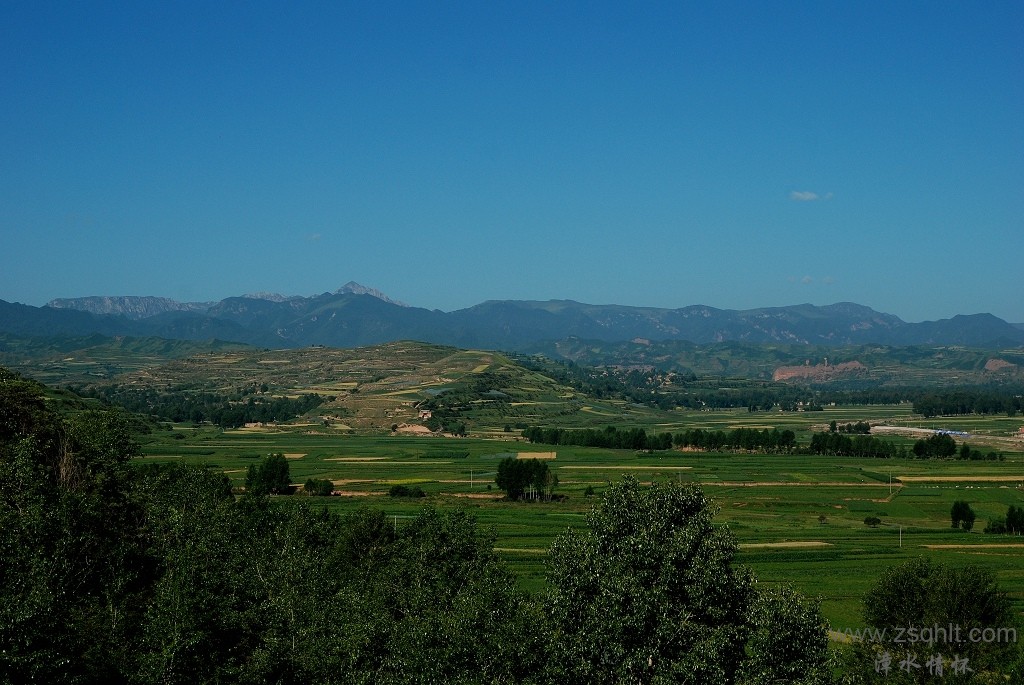 DSC_5832.jpg