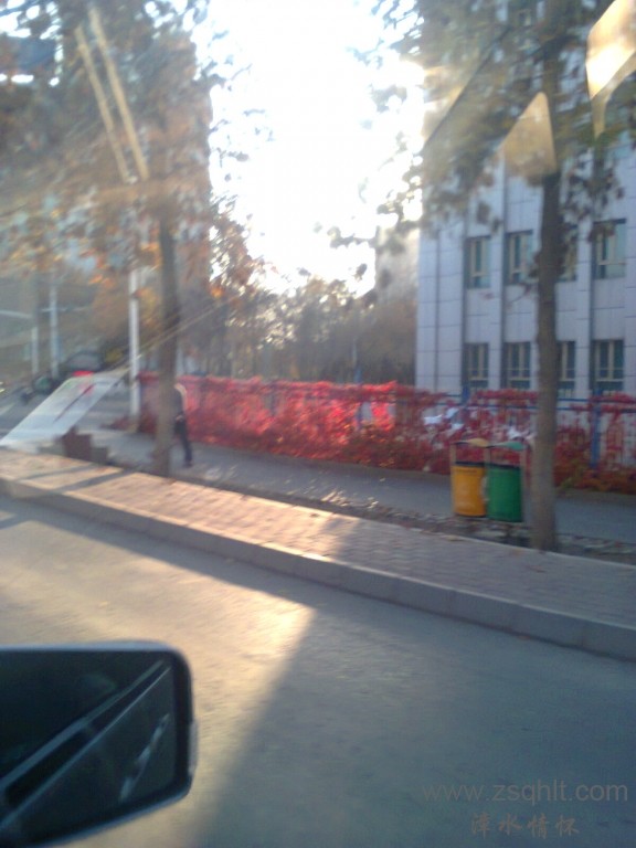 Ƭ0057.jpg