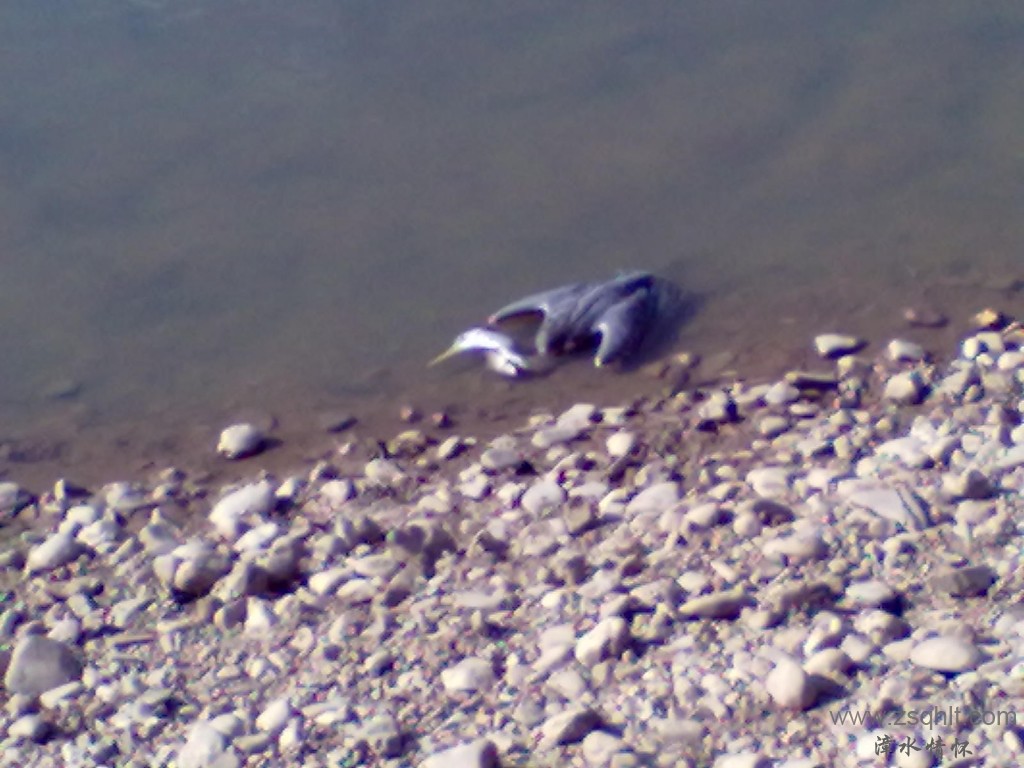 20121003169.jpg