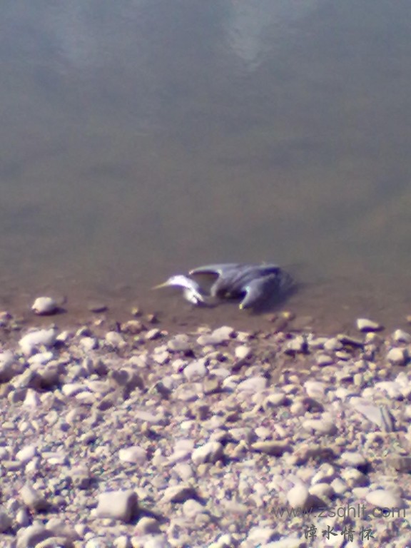 20121003170.jpg