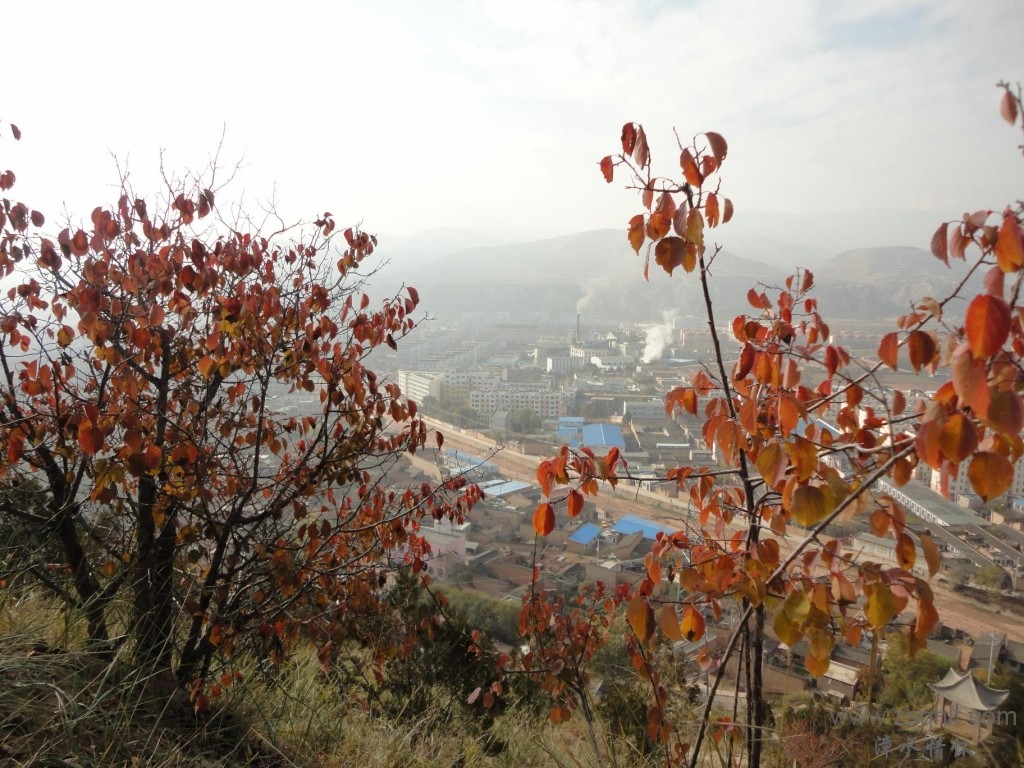 DSC02135(50%).JPG