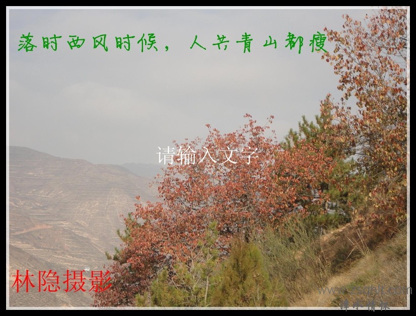 DSC02131(50%)_.jpg