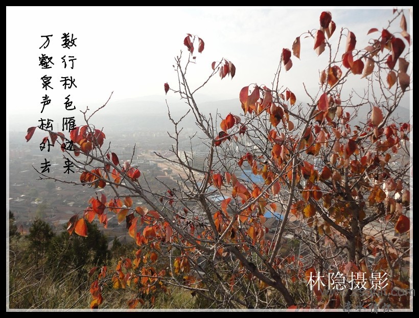 DSC02136(50%)_.jpg