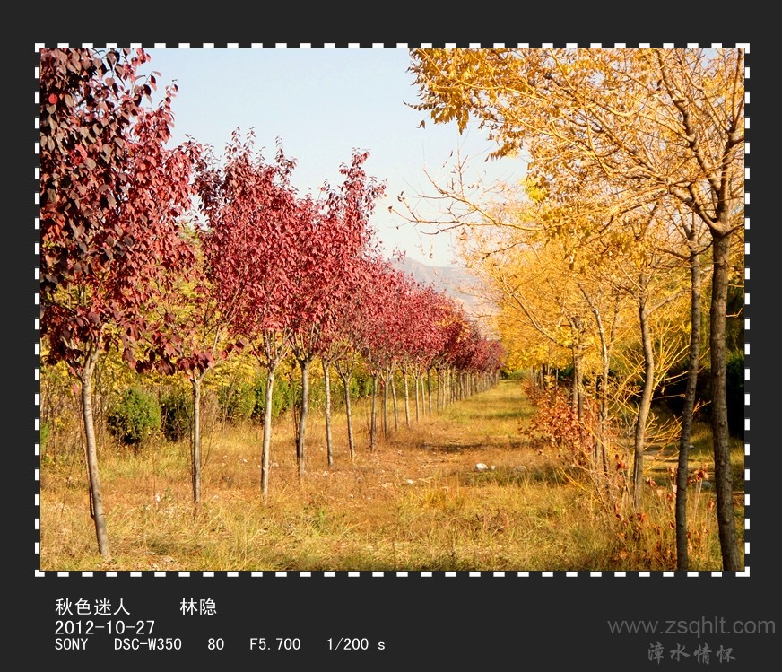 DSC02104_.jpg