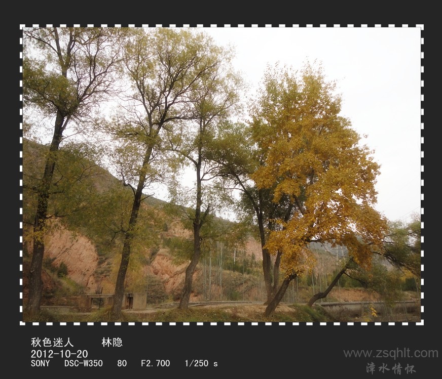 DSC02064_.jpg