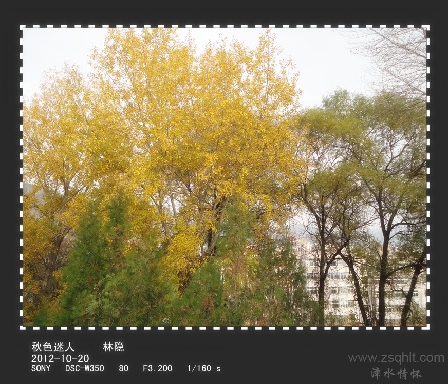 DSC02066_.jpg