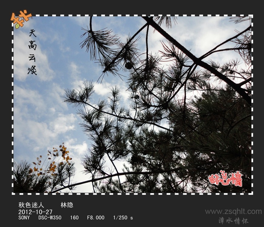 DSC02120_.jpg