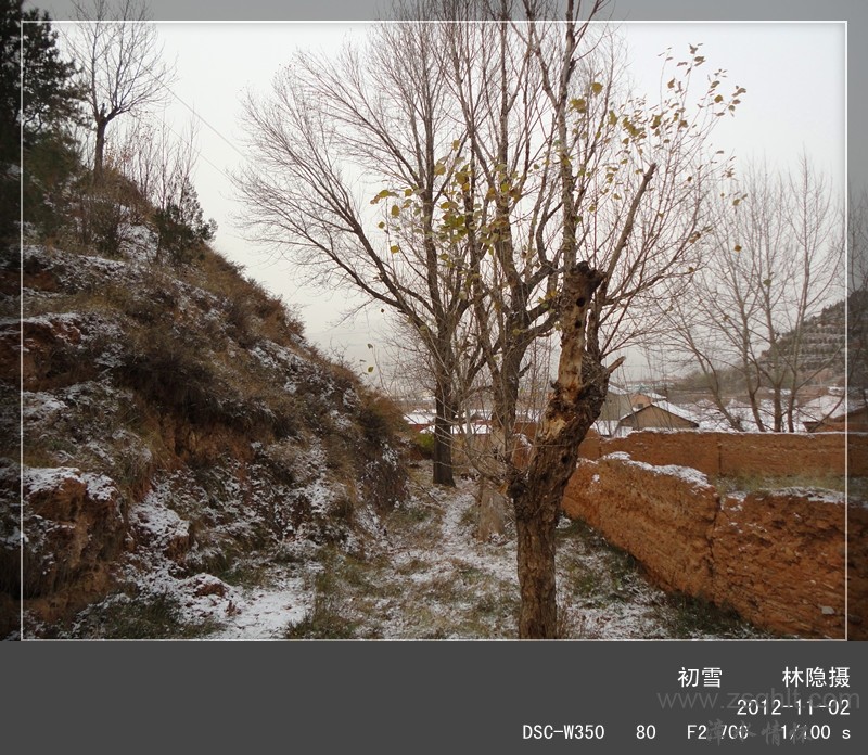 DSC02168_.jpg