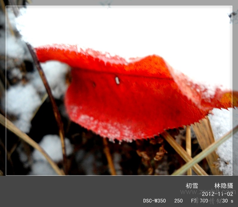 DSC02171_.jpg