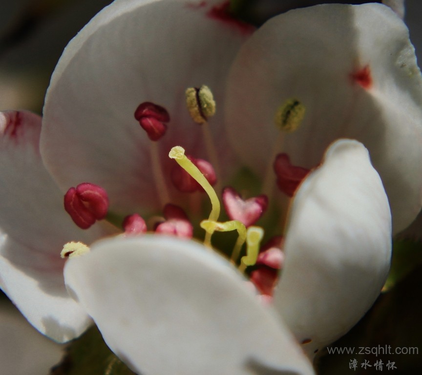 IMG_2854.jpg